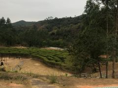 -清远熹乐谷温泉度假酒店