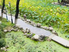 -莲湖公园