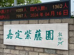 -嘉定紫藤园