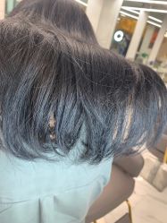 -潘多拉Hairsalon