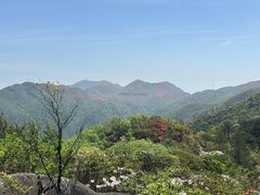 -大围山国家森林公园