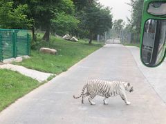 -西安秦岭野生动物园