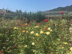 -韶关经律论国际酒店温泉