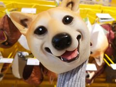 -KKV(深圳宏发大仟里店)