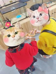 -Moni星球萌宠·小马宝莉·灵蛇·高端高阶全萌宠互动体验俱乐部(红豆国际广场店)
