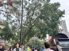 -九龙寨城公园