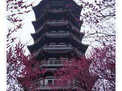 -洋湖国家湿地公园