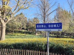 -香山公园