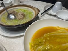 -丁老爷子苏香圆