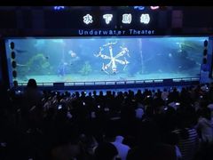 -泉城欧乐堡海洋极地世界