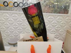 -Cocodemer女性健康·产后恢复(天一广场店)