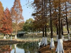 -白塘生态植物园