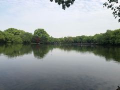 -老头儿油爆虾(胜利河美食街店)