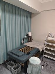 -苗塑堂减肥艾灸