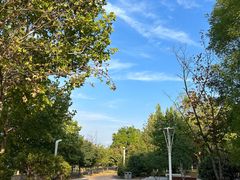 -灞河西岸滨河公园