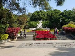 -金鸡山公园