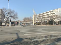 -南开大学滨海学院