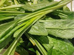 -攀枝花野菜铜火锅(万科凯德店)