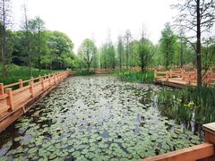 -凤凰沟景区