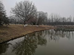 -西安浐灞国家湿地公园