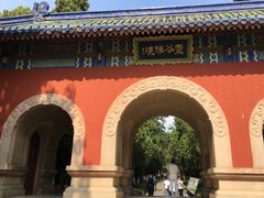 -灵谷景区