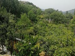 -黄巢水库