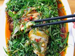 -老字号怡玺·藿香雅鱼(20年雅安店)