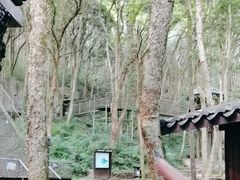 -富春桃源风景区