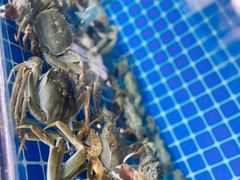 -新泰和人家(金澄天地花园店)