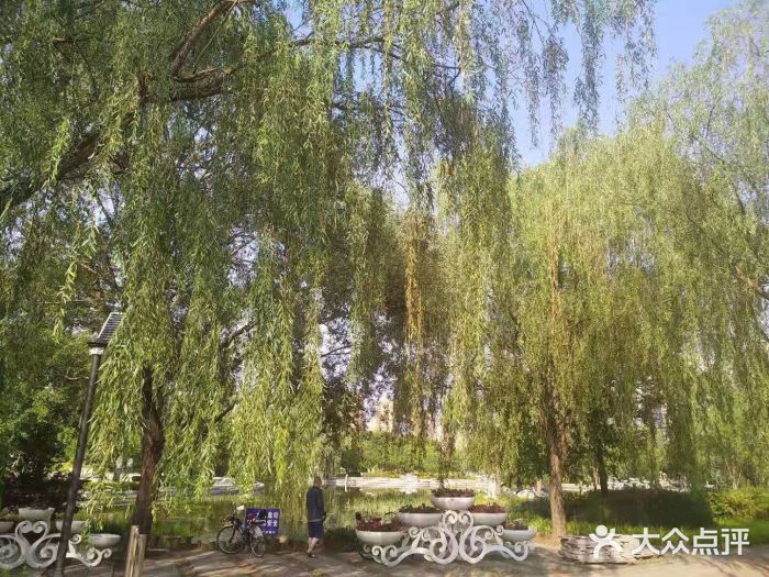 立水桥公园图片