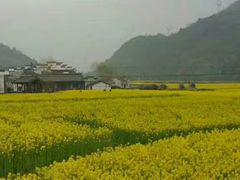 -新安江山水画廊风景区