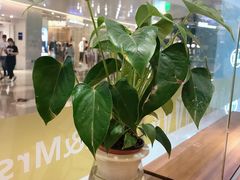-艾薯夫妇Aysh(红山店)