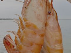 -品鲜村农家菜·阳澄湖大闸蟹(总店)