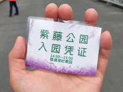 -嘉定紫藤园