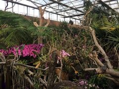 -南通洲际绿博园