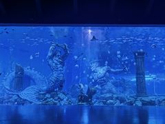 -波塞冬海底世界