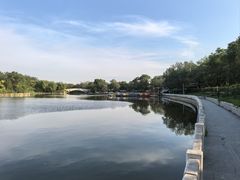 -塘沽森林公园