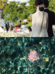 -美薇亭婚礼顾问