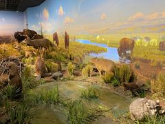 -陕西自然博物馆