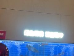 -老板恋上鱼(恒隆广场店)