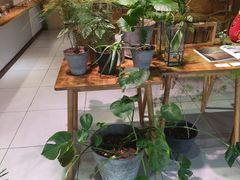 -柴务处·柴犬主题狗咖