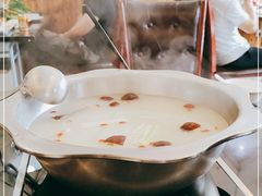 -小叫驴养生驴肉火锅(龙游店)
