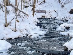-峡谷浮石林景区