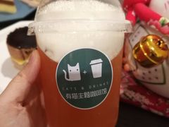 -有猫主题·治愈系猫咖(曾厝垵店)