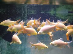 -常州海昌海洋探索馆