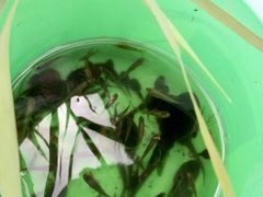 -呈贡滇池生态湿地公园