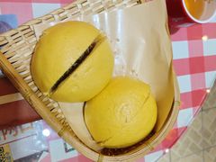 -社会主义新农村(动植物公园店)