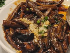 -新吉士·上海菜(浦东LCM置汇旭辉店)