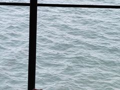 -抱抱地球咖啡馆(国家海洋博物馆店)