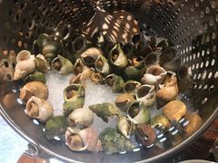 海螺-Social 秀西餐厅-长沙瑞吉酒店(运达店)